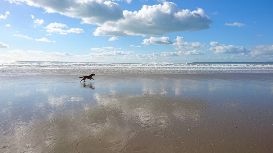 Merci Lysiane pour cette jolie photo de l'Atlantique